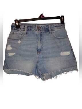 Hollister Washed Light Blue High-Rise Denim Shorts